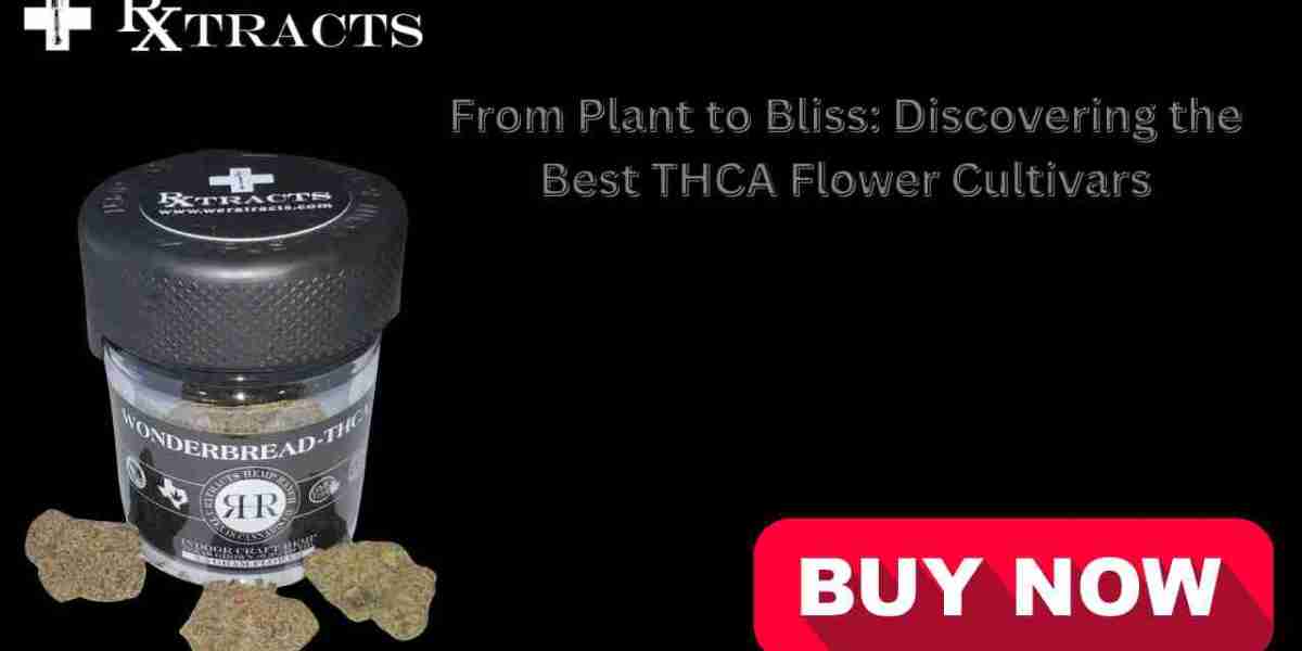 From Plant to Bliss: Discovering the Best THCA Flower Cultivars