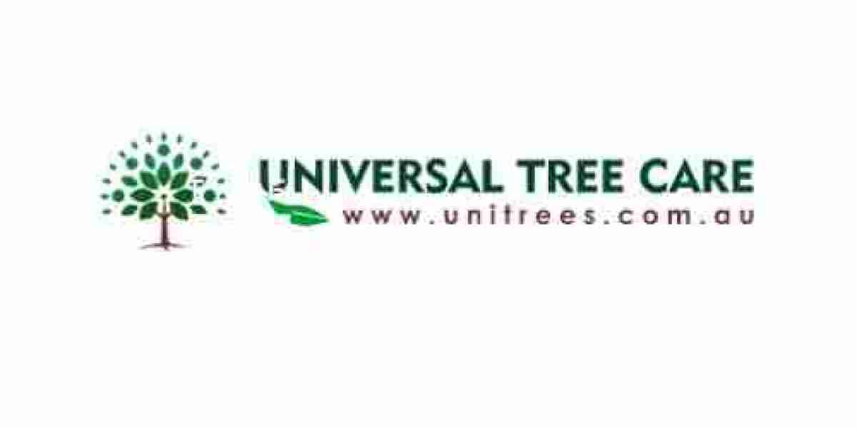 Urgent Response Emergency Tree Removal Services Available