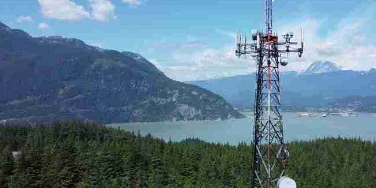 Land Mobile Radio Base Station Market Growth Probability, Leading Vendors and Future Scenario During Forecast Period 202