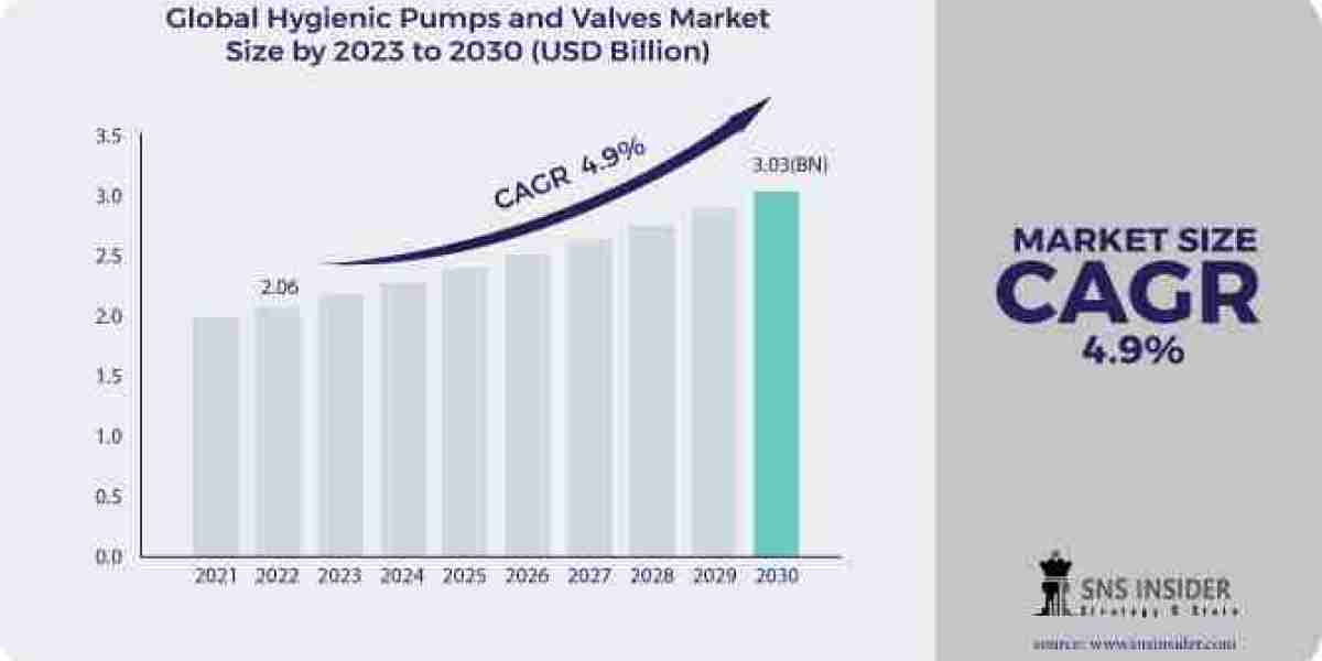 Into the Next Decade: Understanding Hygienic Pumps and Valves Market Trends, Growth, Size, Share, and Forecast 2031