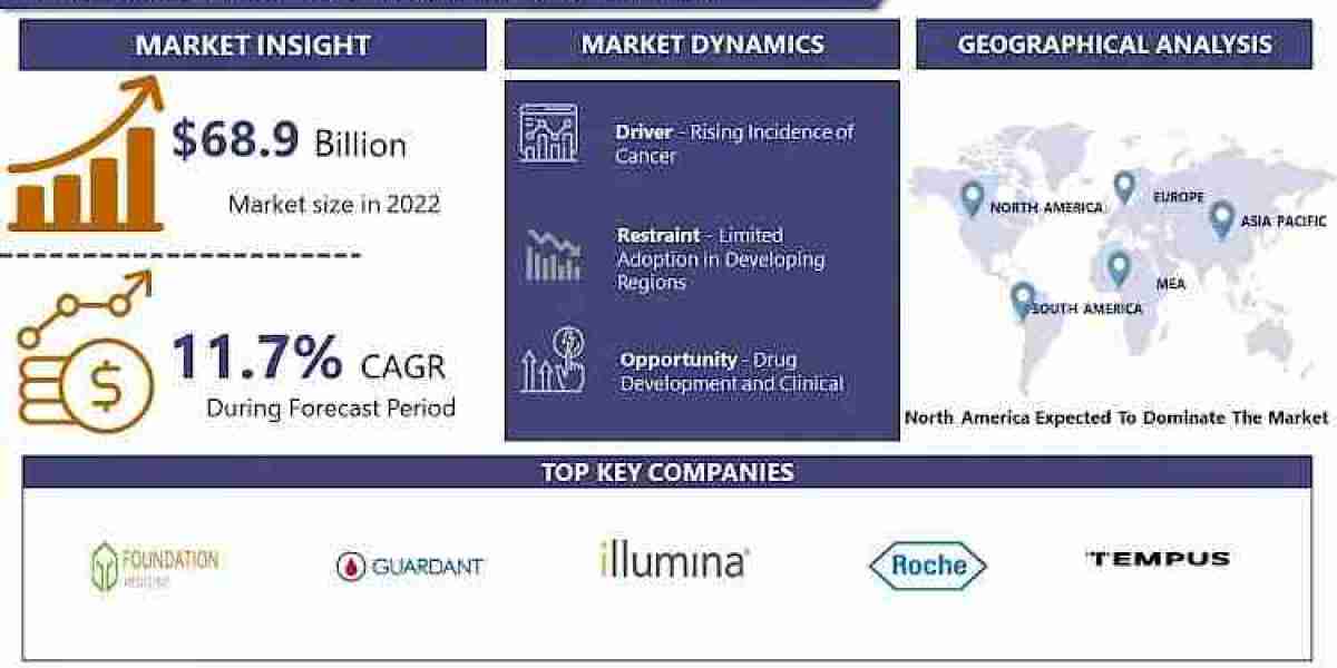 Precision Oncology Market Navigate 2030 with Market Insights and Projections