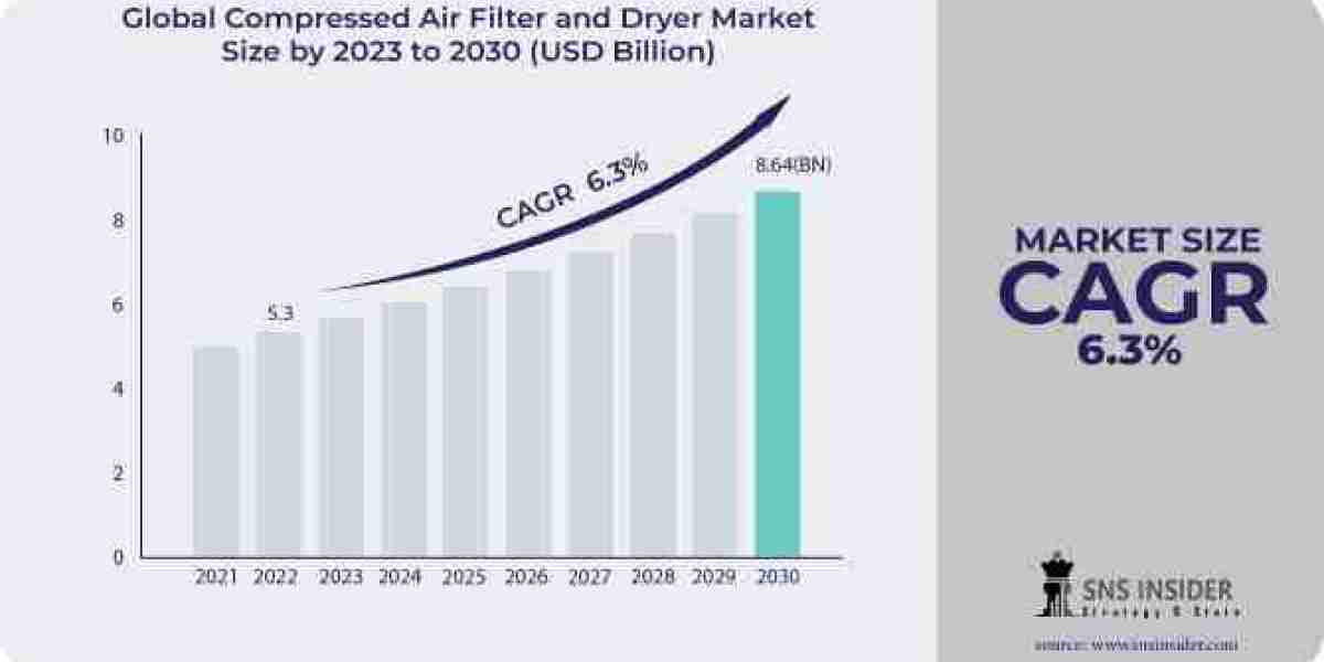 2031 Vision: Unraveling the Compressed Air Filter and Dryer Market - Trends, Growth, Size, Share, and Forecast