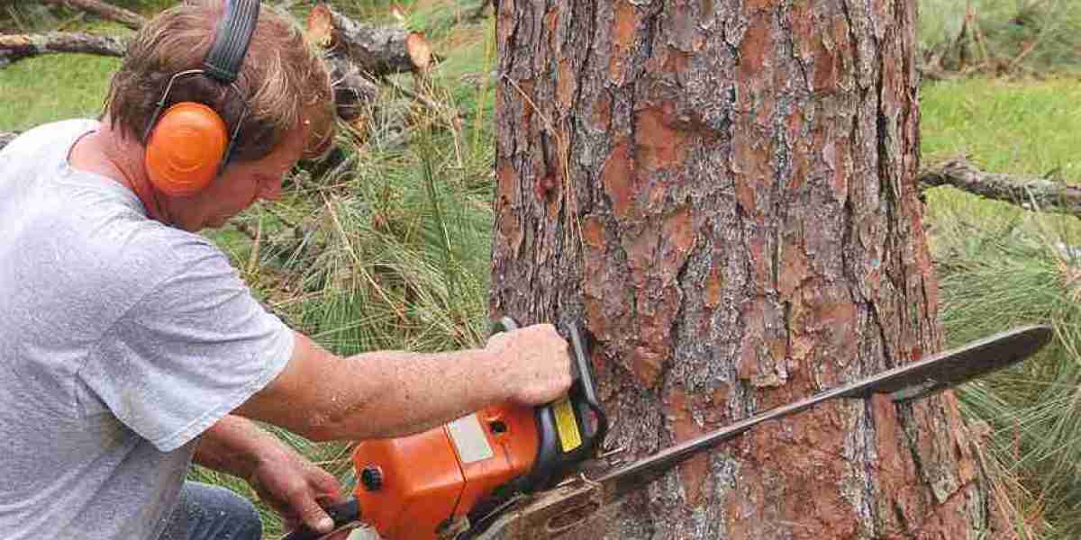 Stump Removal Sydney Made Easy - Call SydneySide Tree Services Today!