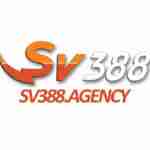 sv388agency Profile Picture
