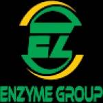 Enzyme Group