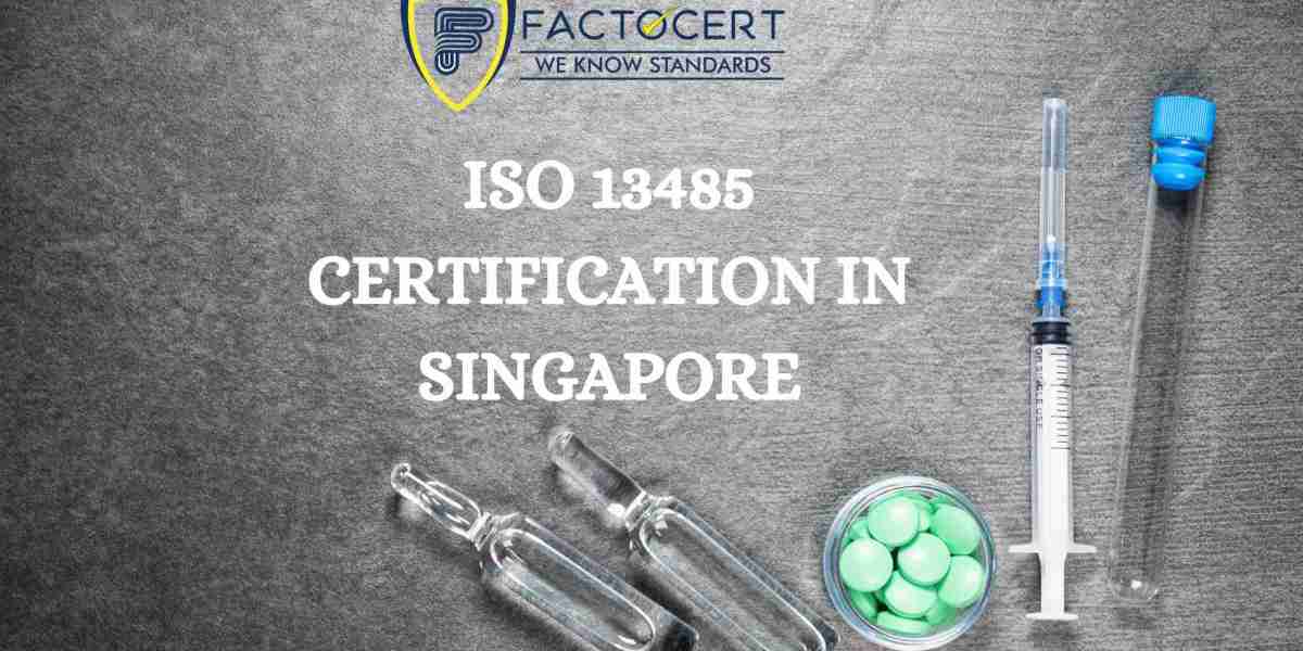 What are the requirements of the ISO 13485 certification consultants in Singapore?
