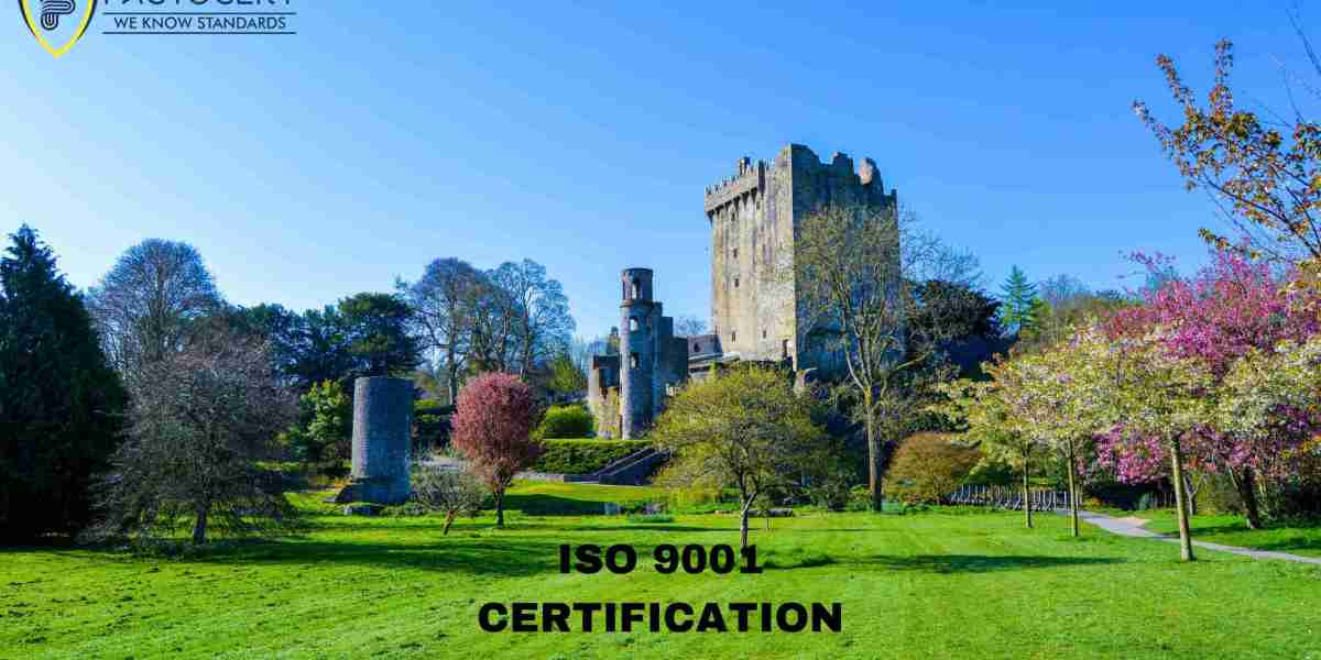 What are the costs associated with obtaining and maintaining ISO 9001 certification in Ireland?