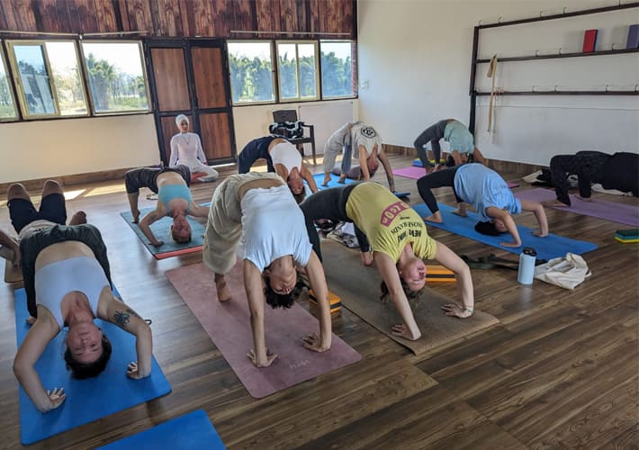 Best 100 hours of Yoga Teacher Training in Rishikesh | Yogaadi