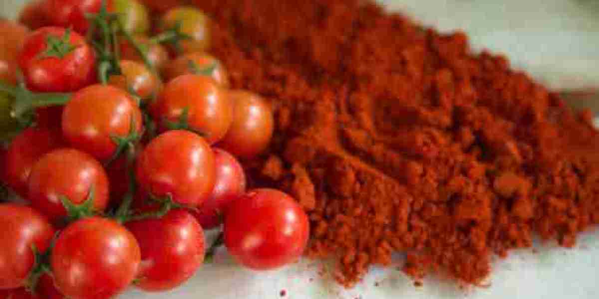 Europe Tomato Powder Market Outlook with Investment, Gross Margin, and Forecast 2032