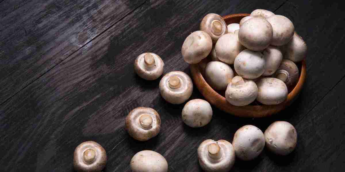 Button Mushroom Market Size, Growth & Industry Research Report, 2032