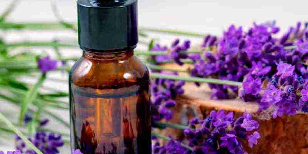 Lavender Oil Processing Plant Plant Cost Report 2024: Setup Details, Business Plan and Raw Material Requirements