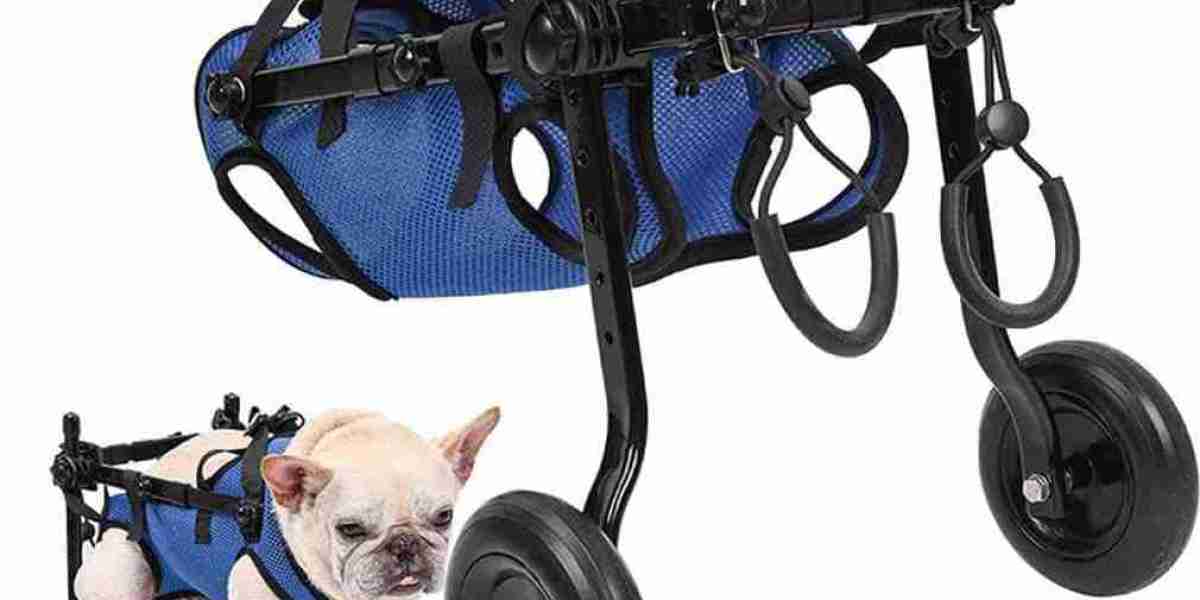 Pet Mobility Aids Market Size, Share, Growth, Opportunities and Global Forecast to 2032