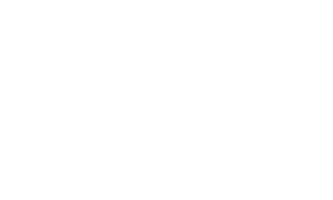 Apex Forensic Services – Forensic Accounting Services