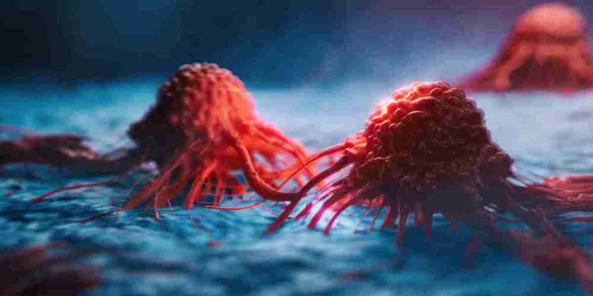 Cancer Profiling Market to Soar at steady CAGR up to 2024 – 2032