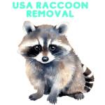 USA Raccoon Removal