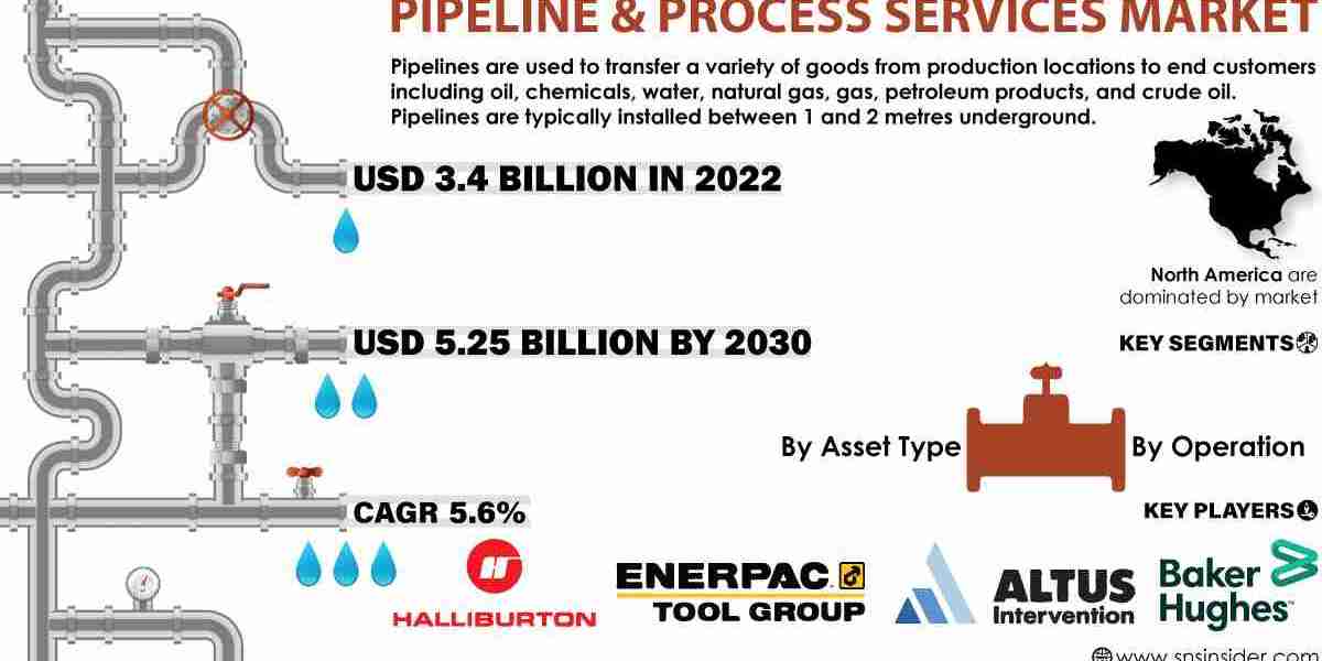 Pipeline & Process Services Market Share, Size and Growth Report