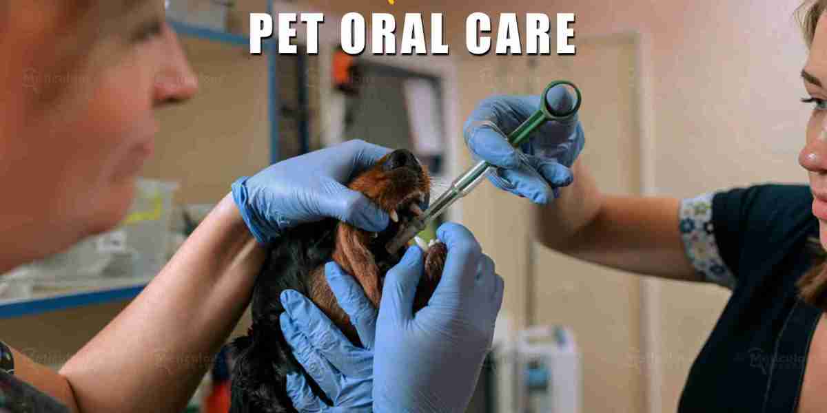Pet Oral Care Market to be Worth $3 Billion by 2030
