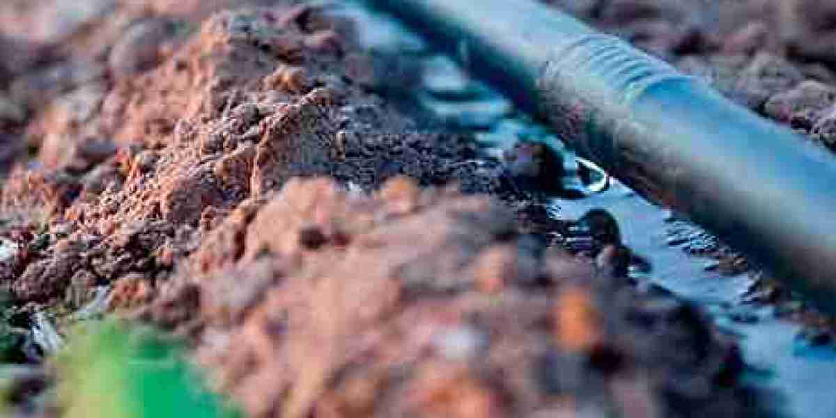 Enhance Your Landscape with an Efficient Irrigation System