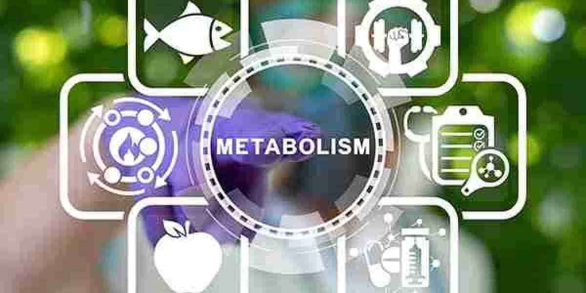 Report on Metabolism Assays Market Research 2032 - Value Market Research