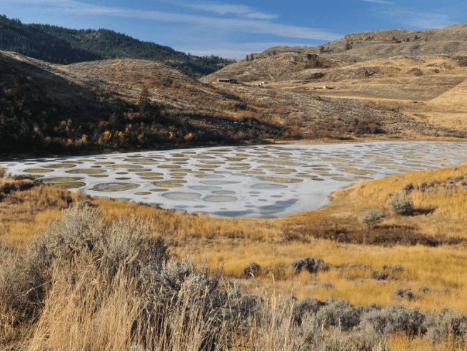 Discover Spotted Lake | Best Western Hotel