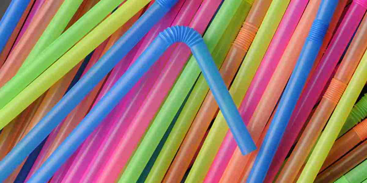Drinking Straw Market Segment Strategies and Growth Forecasts by 2031