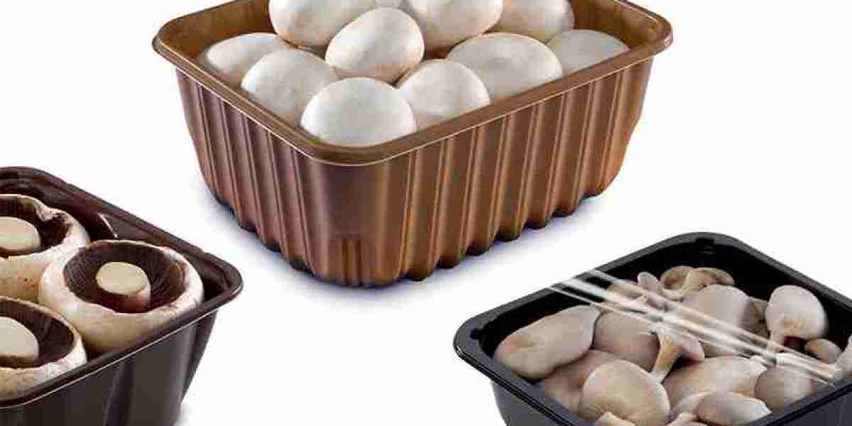Mushroom Packaging Market Size, In-depth Analysis Report and Global Forecast to 2032