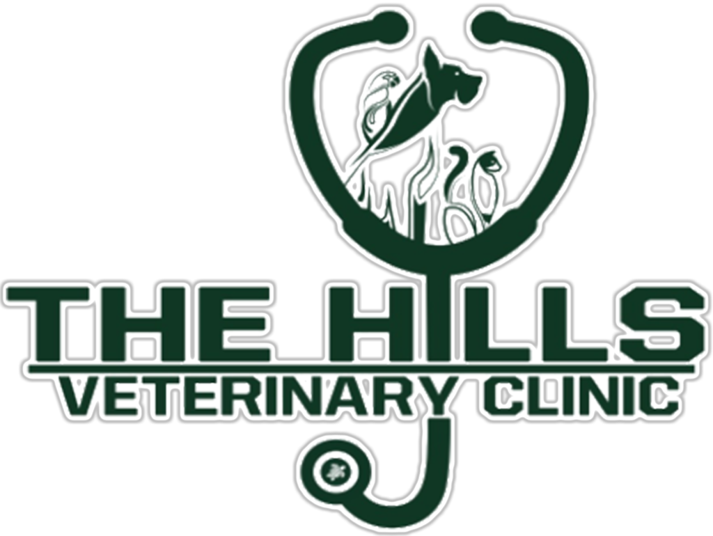 Pet Neutering and Spaying Clinic Dubai | Dubai Veterinary Clinic