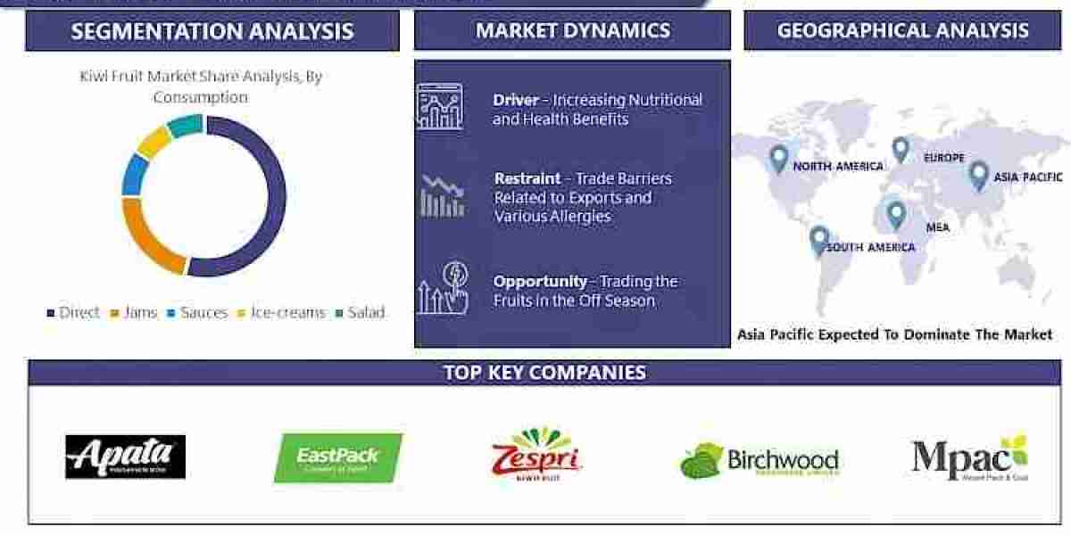 Kiwi Fruit Market Forecasting 2030: Market Trends and Growth Status