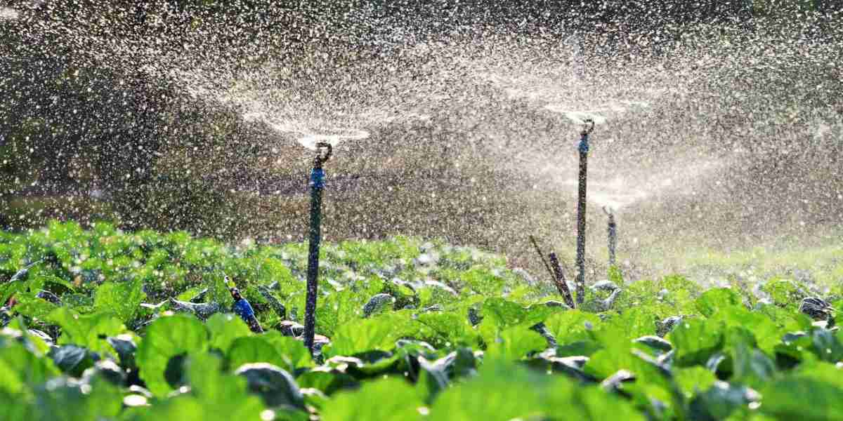 Irrigation Automation Market: Advancing Surface Irrigation Techniques for Better Crop Management