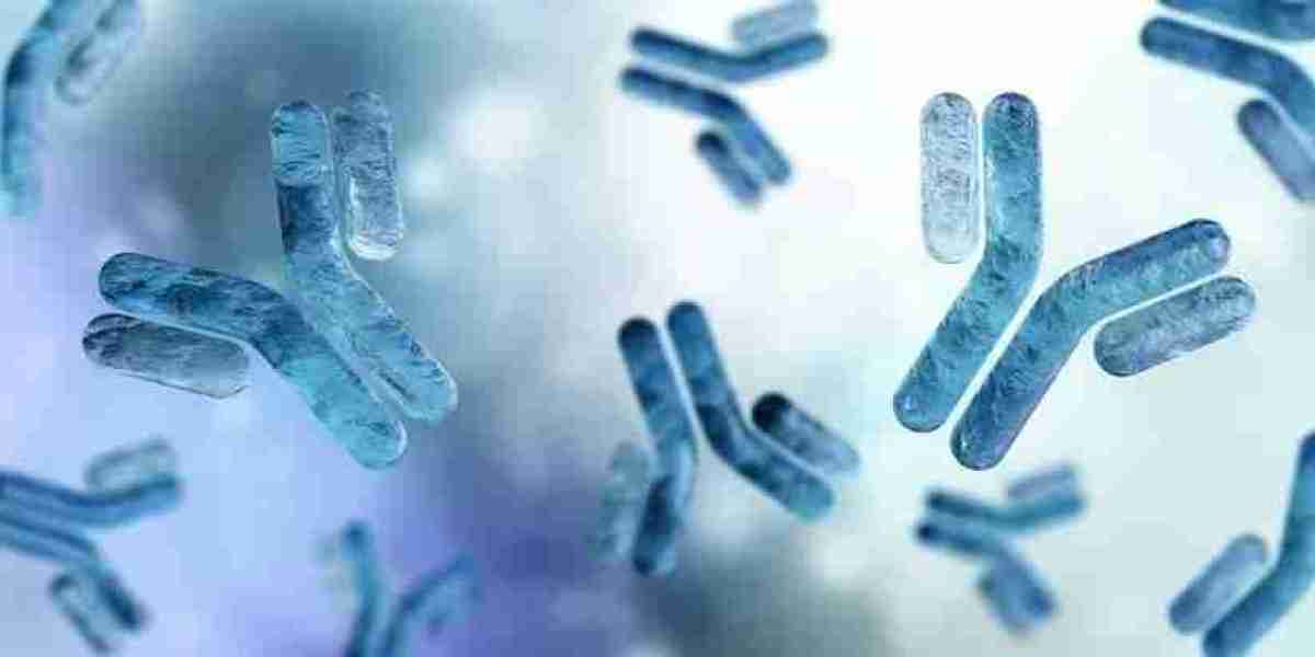 Antibody Discovery Market: Ready To Fly on high Growth Trends