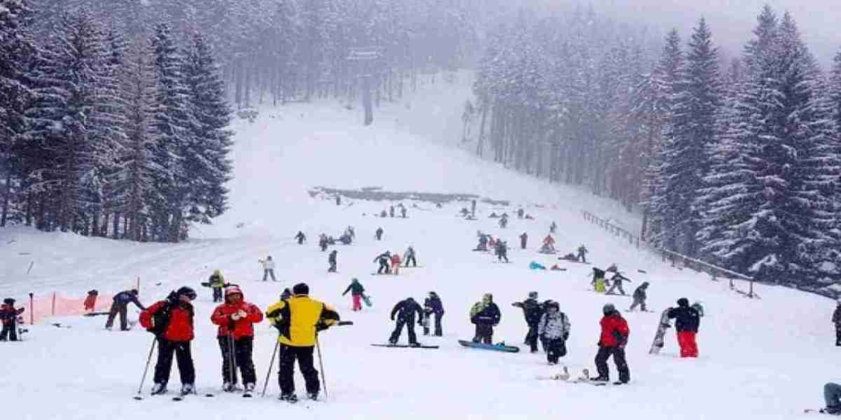 Discover Shimla Manali Scenic Tour Package Awaits: A Journey Through the Himalayan Wonderland