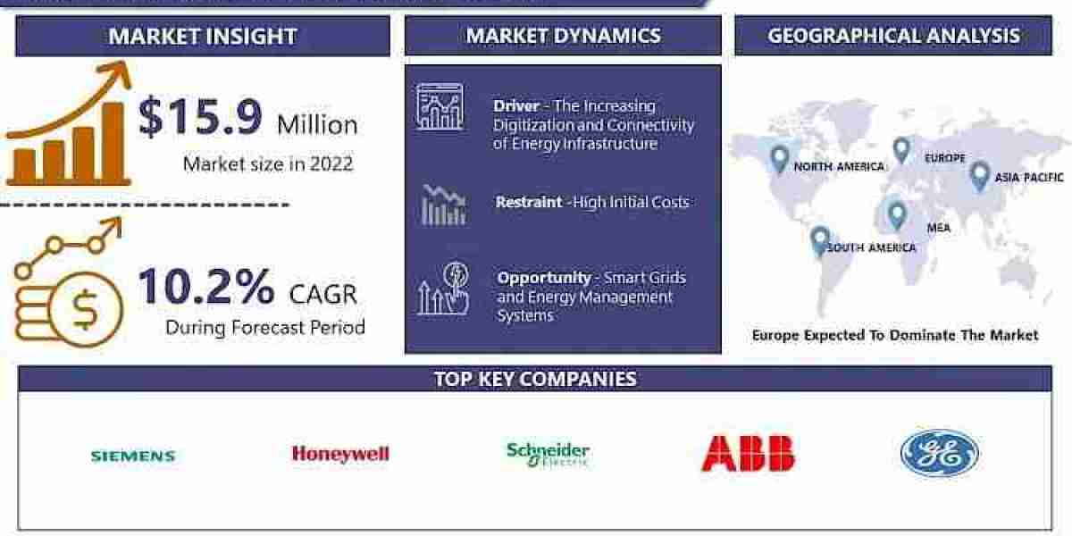 Energy Security Market Unlock the Future: 2030 Market Report and Forecast