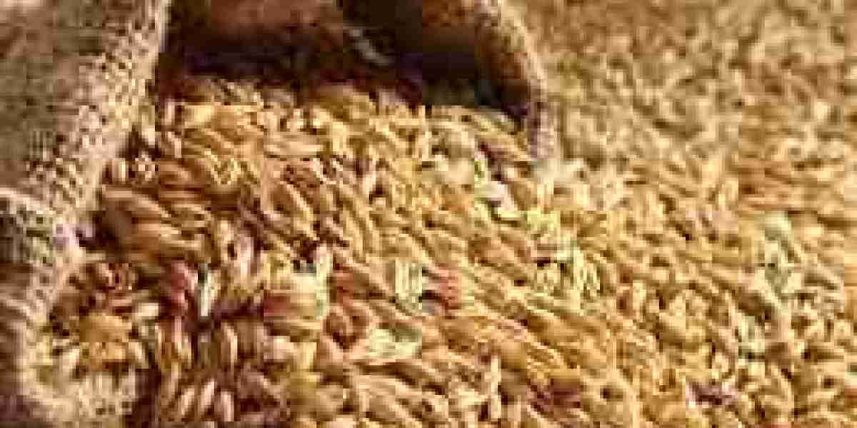 North American Malt Ingredients Market Exploring the Booming Industry and Future Prospects, Growth and Segmentation Anal