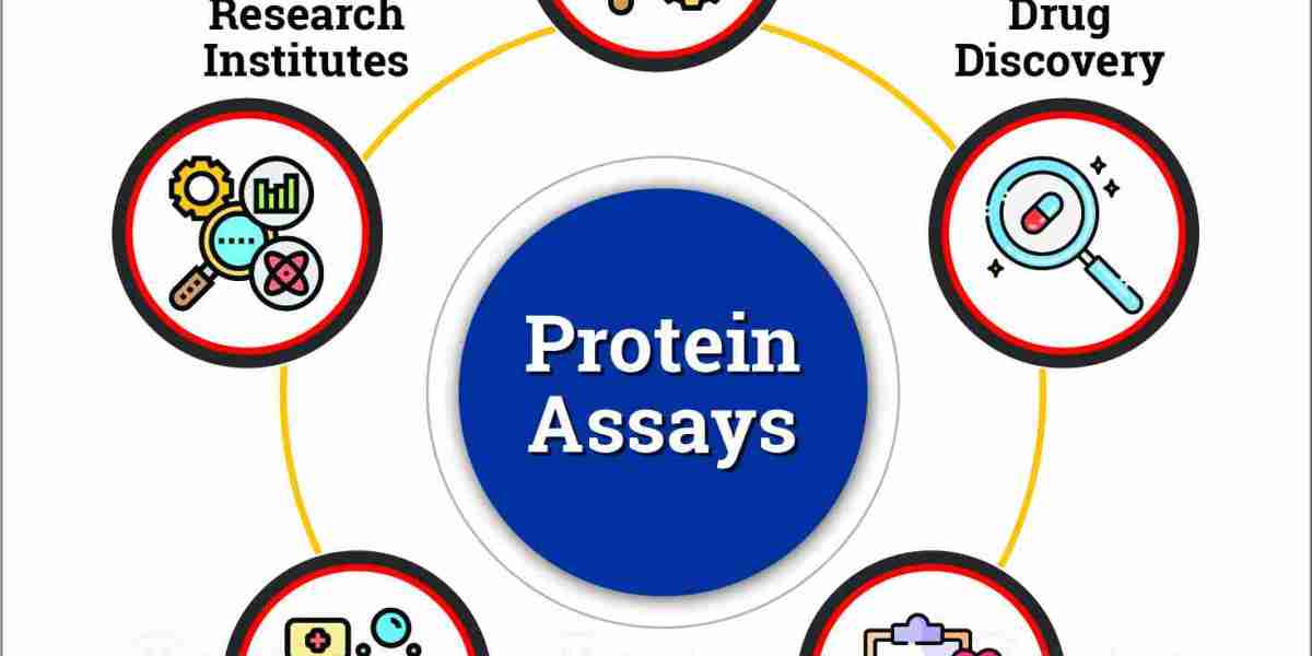 Protein Assays Market to be Worth $4.36 Billion by 2031