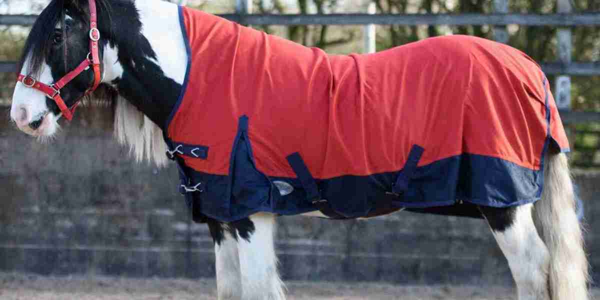 Feather-Light and Functional: Choosing the Perfect Lightweight Turnout Rug