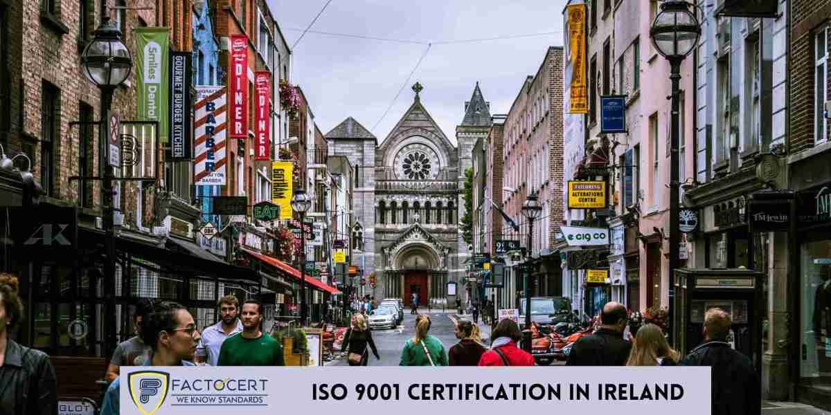 What are the steps involved in ISO 9001 certification in Ireland?