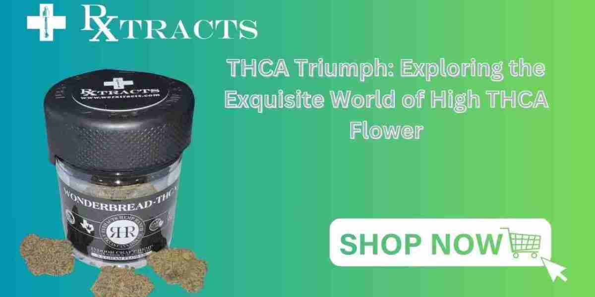 THCA Triumph: Exploring the Exquisite World of High THCA Flower