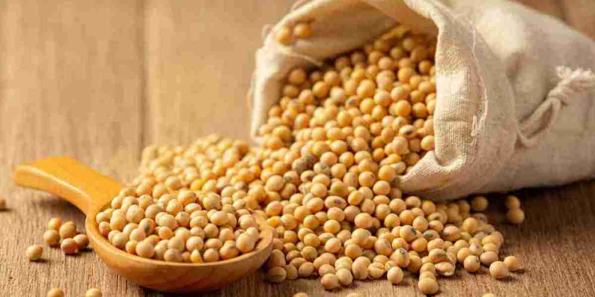 How Critical is Soya Bean Production to India's Agriculture Sector?