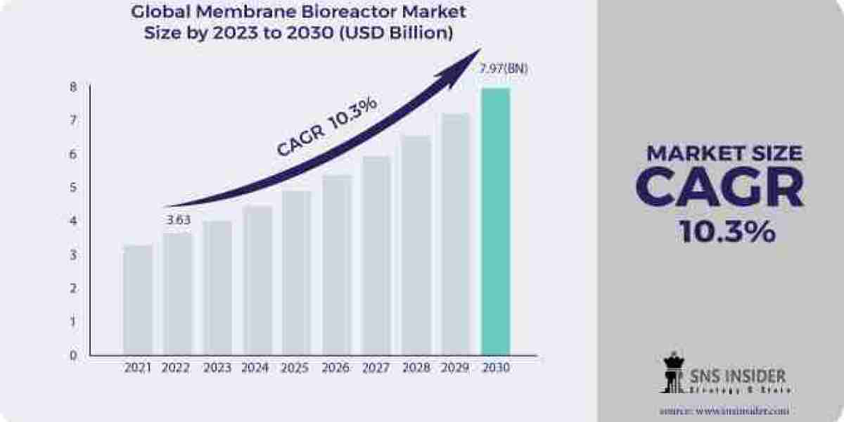 Beyond Boundaries: Insight into Membrane Bioreactor Market Analysis, Scope, Growth Trends, Size, Share, and Forecast 203