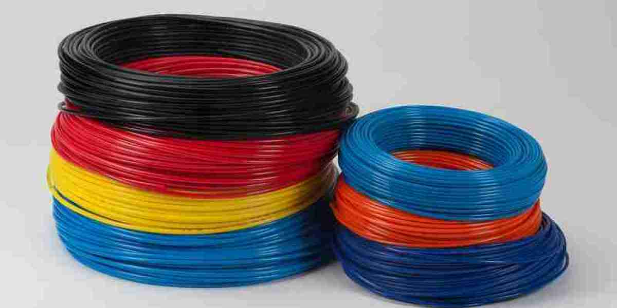 Nylon (PA) Manufacturing Plant Project Report 2024, Cost, Industry Trends and Business Opportunities