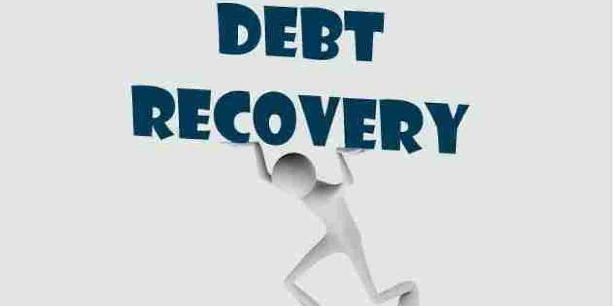Navigating the Path to Debt Recovery