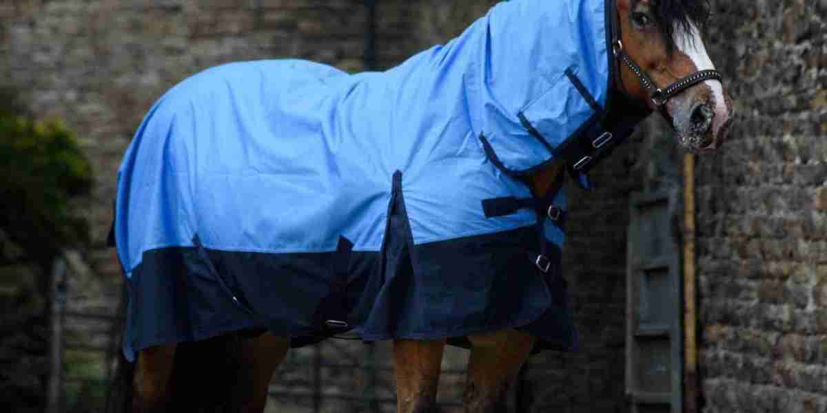 No Fill, Big Impact: Choosing the Right Turnout Rug for Warm Weather