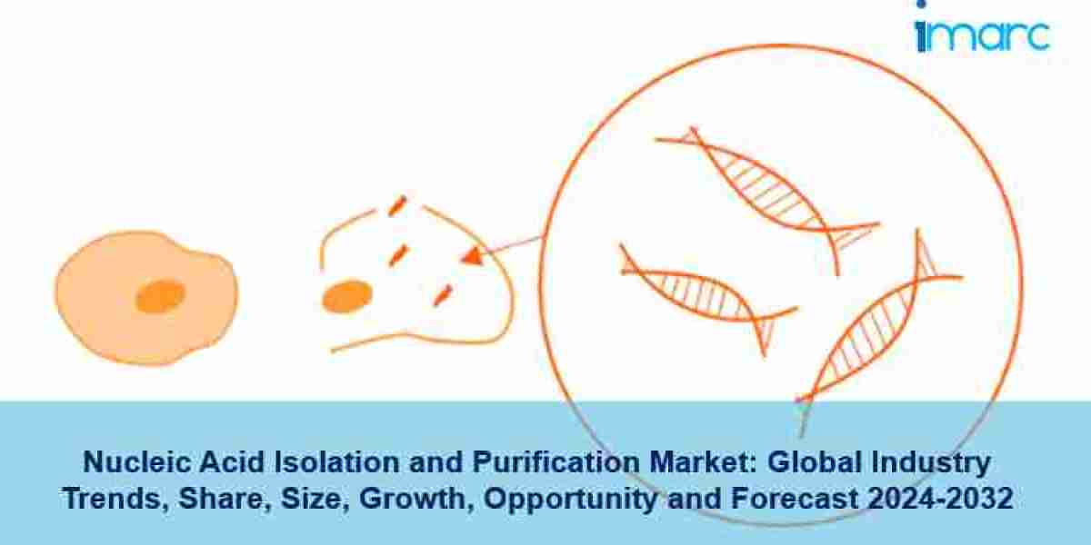 Nucleic Acid Isolation and Purification Market Share, Opportunity & Growth 2024-2032