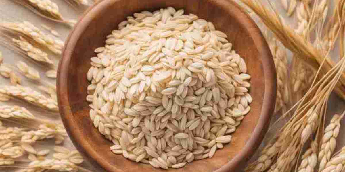 Market Overview and Growth Prospects: The Beta Glucan Market Perspective