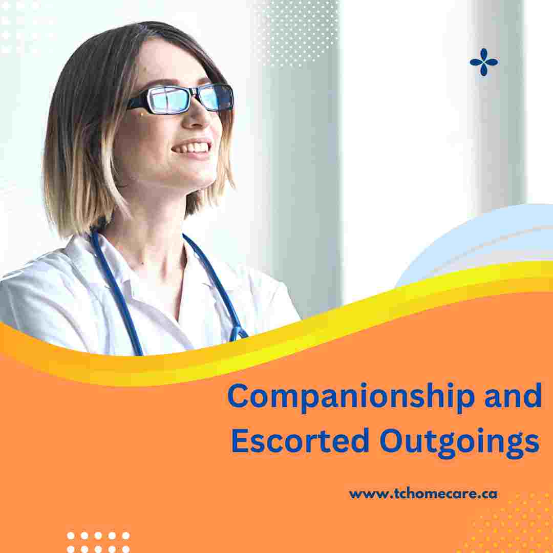 What Makes a Great Companion? Exploring the Essence of Companionship – Total Home & Healthcare Services