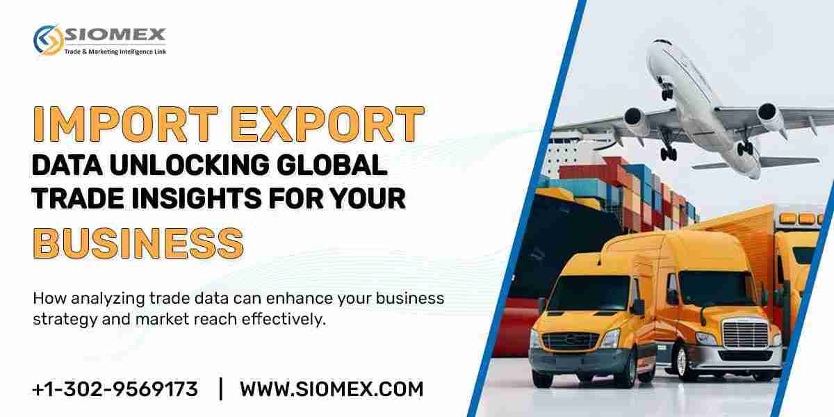 How to Choose the Best Import Export Data Provider for Your Business