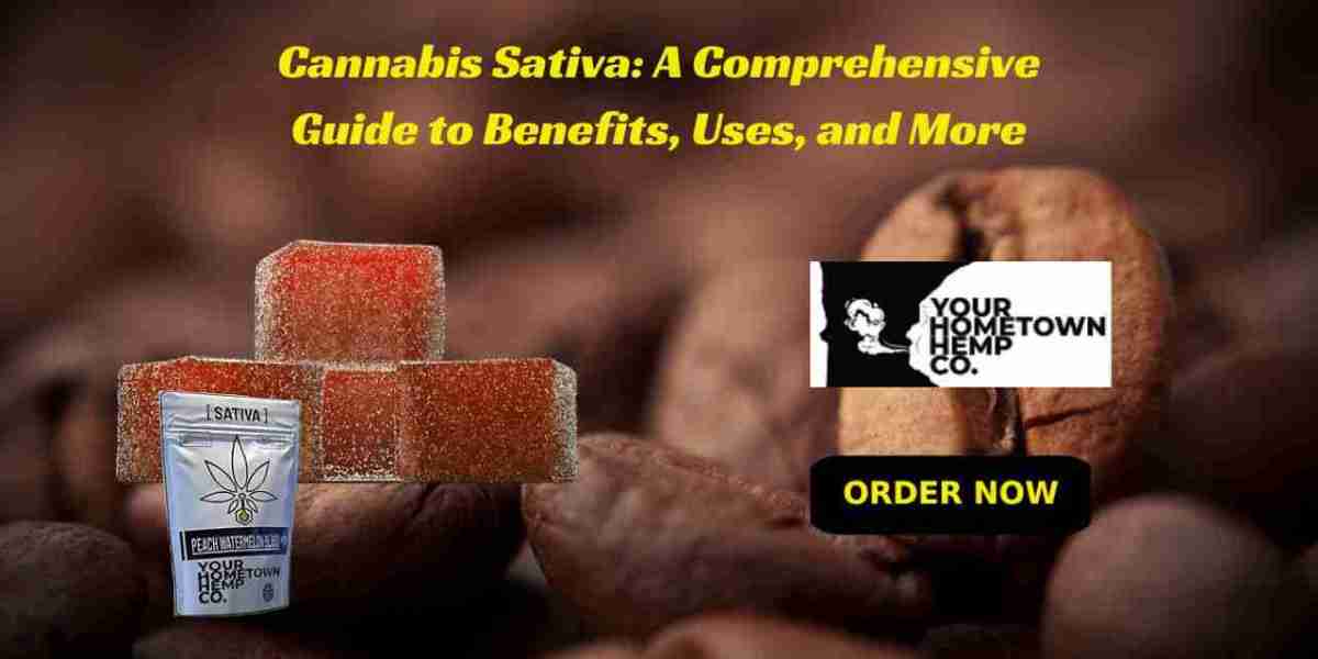 Cannabis Sativa: A Comprehensive Guide to Benefits, Uses, and More