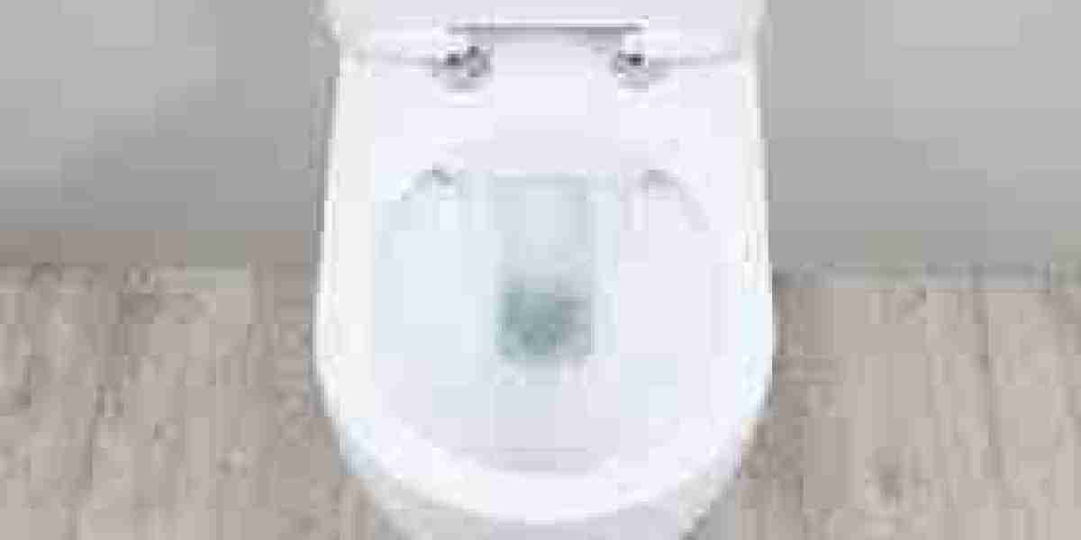 Rimless Toilets Market Analysed by Business Growth, Development Factors and Future Trends