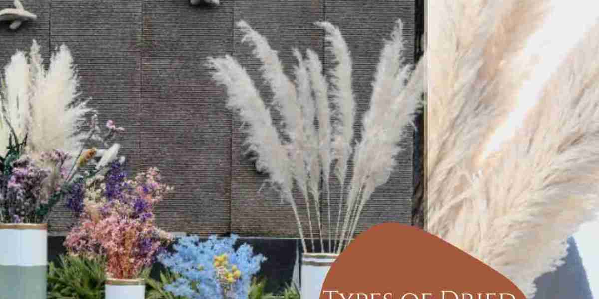 A Guide to Different Types of Dried Pampas Grass
