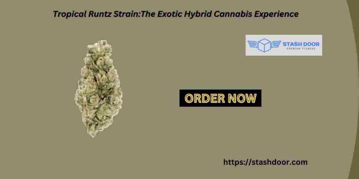 Tropical Runtz Strain: Exotic Hybrid Cannabis Experience | Stash Door